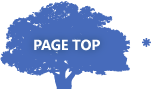 PAGE TOP